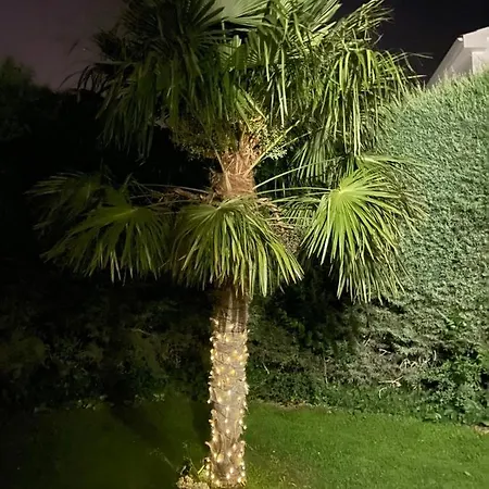 Nyaraló En Salamanca Spain