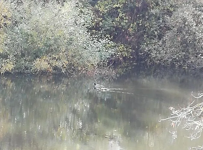 펜션 En Salamanca Spain Cabrerizos